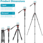 Neewer 2-in-1 Aluminum Tripod with Removable Monopod Leg and Fluid Tripod Head